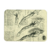 Arm en schouder Anatomie door Leonardo da Vinci Magneet (Horizontaal)