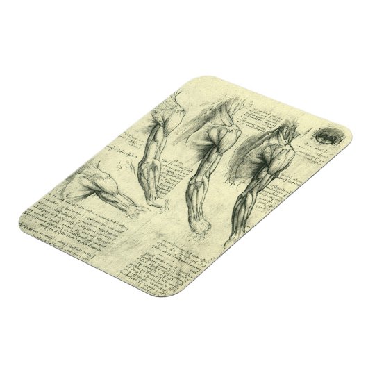 Arm en schouder Anatomie door Leonardo da Vinci Magneet (Linkerzijde)