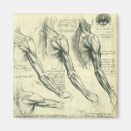 Arm en schouder Anatomie door Leonardo da Vinci Magneet (Voorkant)