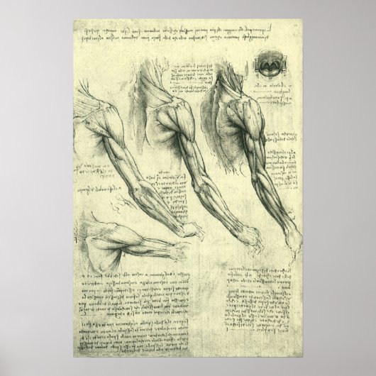 Arm en schouder Anatomie door Leonardo da Vinci Poster (Voorkant)