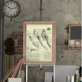 Arm en schouder Anatomie door Leonardo da Vinci Poster