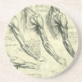 Arm en schouder Anatomie door Leonardo da Vinci Zandsteen Onderzetter (Voorkant)