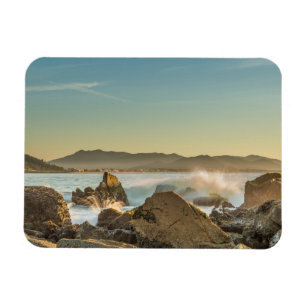 Armação Beach Magneet