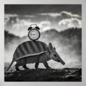 Armadillo - Archival Art Print (Voorkant)