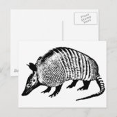Armadillo Briefkaart (Voorkant / Achterkant)