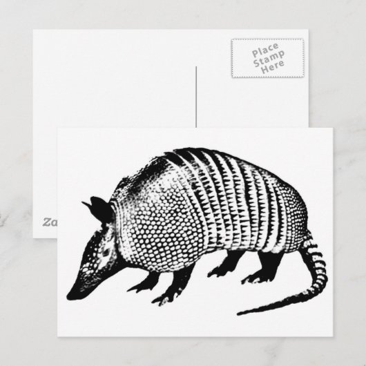 Armadillo Briefkaart (Voorkant / Achterkant)