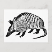 Armadillo Briefkaart (Voorkant)