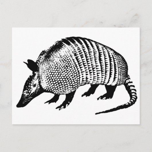 Armadillo Briefkaart (Voorkant)