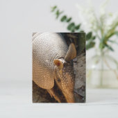 Armadillo Briefkaart (Staand voorkant)