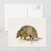 Armadillo Briefkaart (Voorkant / Achterkant)