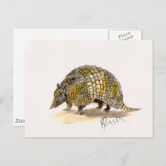 Armadillo Briefkaart (Voorkant / Achterkant)