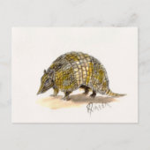 Armadillo Briefkaart (Voorkant)