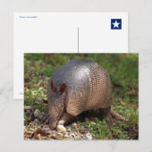 Armadillo Briefkaart (Voorkant / Achterkant)