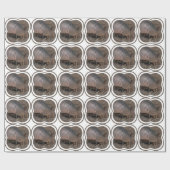 Armadillo Cadeaupapier (Vlak)