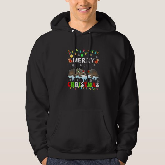 Armadillo Christmas Squad Xmas Women Men Kids Hoodie (Voorkant)