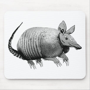 Armadillo Cuteness Muismat