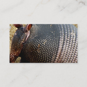 armadillo - foto van visitekaartje