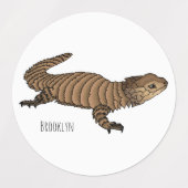 Armadillo girdled lizard cartoon illustratie labels (Design 2)