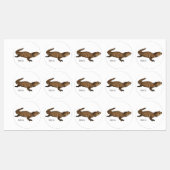 Armadillo girdled lizard cartoon illustratie labels (Vel)