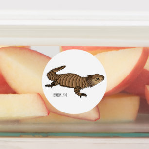 Armadillo girdled lizard cartoon illustratie labels