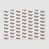 Armadillo girdled lizard cartoon illustratie tissuepapier (Voorkant)