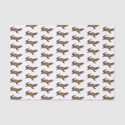 Armadillo girdled lizard cartoon illustratie tissuepapier (Voorkant)