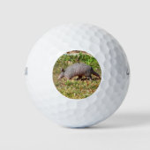 Armadillo Golfballen (Voorkant)