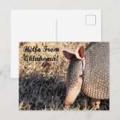 Armadillo Hallo uit Oklahoma Post Card Briefkaart (Voorkant / Achterkant)