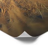 Armadillo in de gouden savanne poster (Hoek)