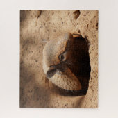 Armadillo in het Gezegde Hole Hallo Legpuzzel (Verticaal)