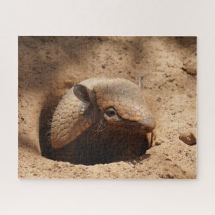 Armadillo in het Gezegde Hole Hallo Legpuzzel