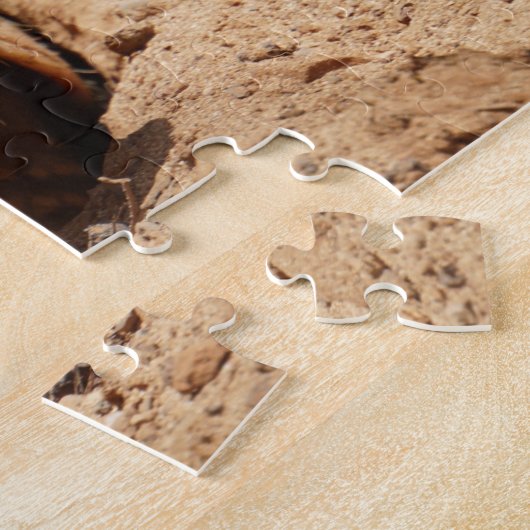 Armadillo in het Gezegde Hole Hallo Legpuzzel (Zijkant)