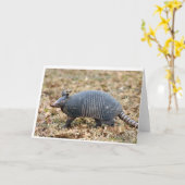 Armadillo Kaart (Gele Bloem)
