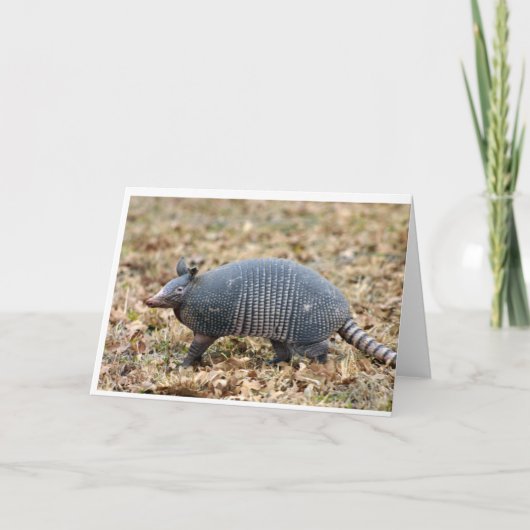Armadillo Kaart (Voorkant)