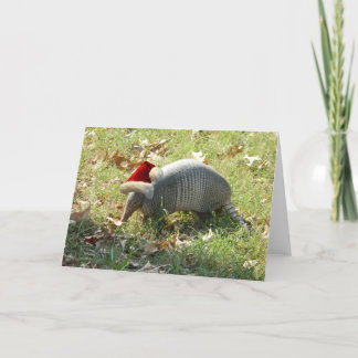 Armadillo-kerstkaart Feestdagen Kaart