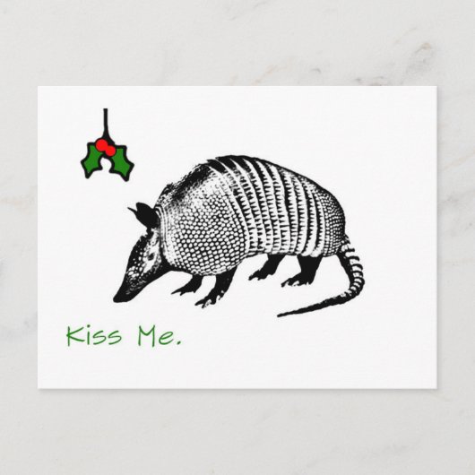 Armadillo Kiss me Briefkaart (Voorkant)