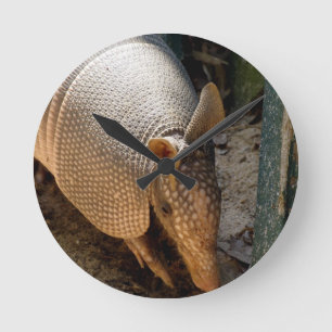 Armadillo-klok Ronde Klok