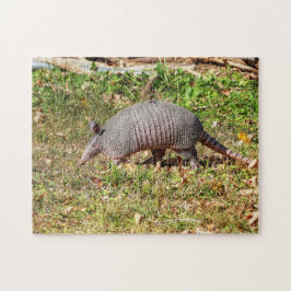 Armadillo Legpuzzel