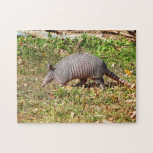 Armadillo Legpuzzel