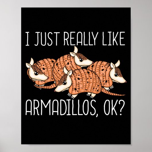Armadillo Lover Wildlife Dierengeschenk Armadillo Poster (Voorkant)