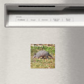 Armadillo Magneet (Insitu (Vaatwasser))