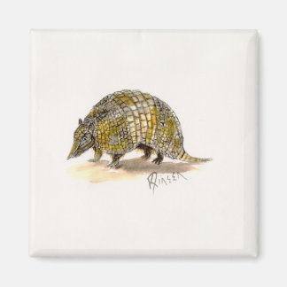Armadillo Magneet