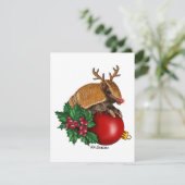 Armadillo met drie banden - kerstkaart (Staand voorkant)