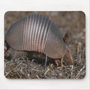 Armadillo Mousepad Muismat