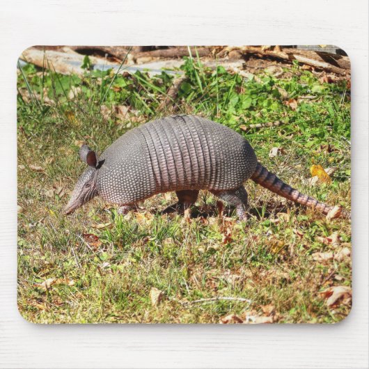 Armadillo Muismat (Voorkant)