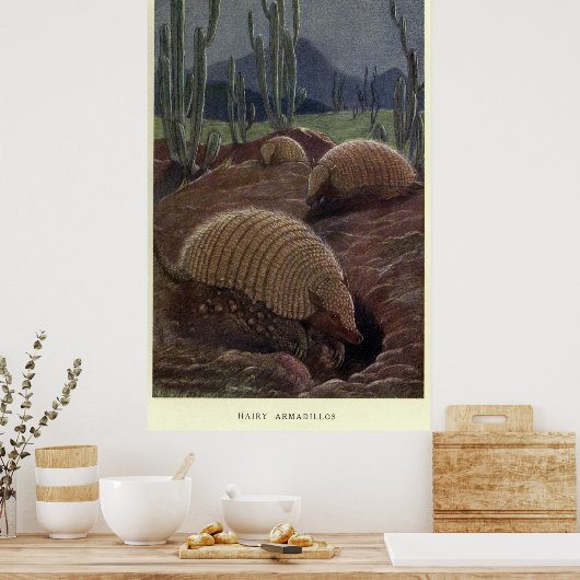  Armadillo Painting (1909) Poster (Keuken)