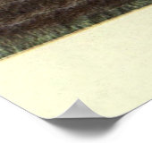  Armadillo Painting (1909) Poster (Hoek)