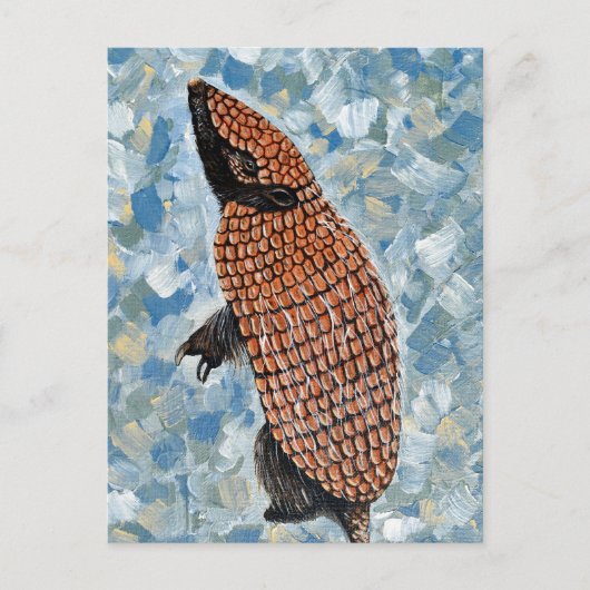 Armadillo Painting Briefkaart (Voorkant)