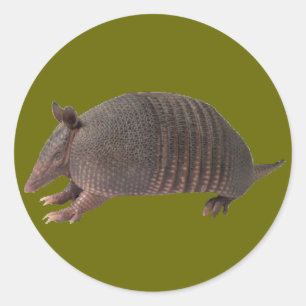 Armadillo plain ronde sticker