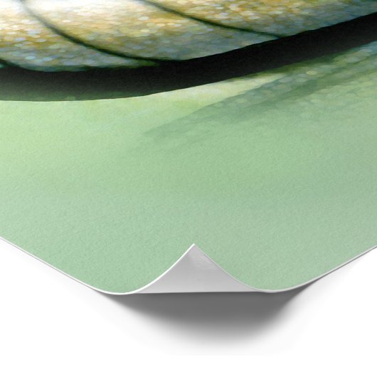 Armadillo Poster (Hoek)